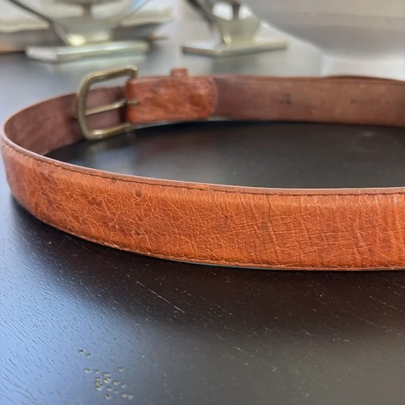 Tecovas ostrich Brown Leather Belt with Brass Buckle - Picture 13 of 16